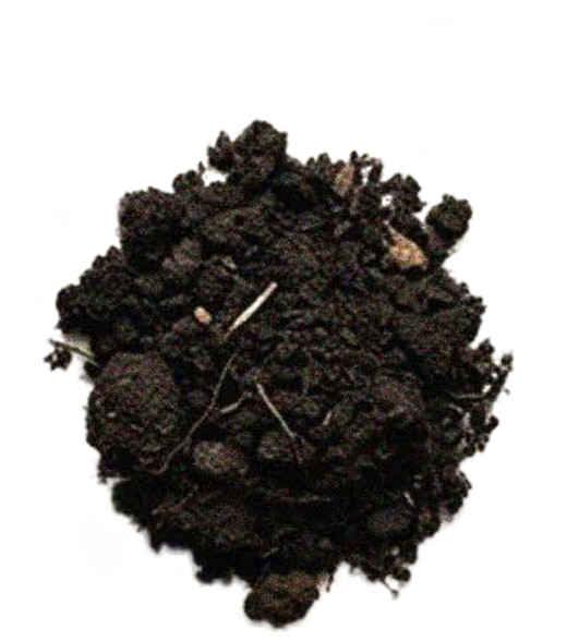 soil